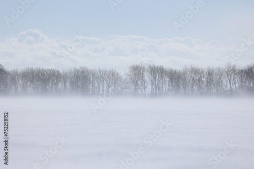 暖かさで雪面から霧が立つ2月下旬の田園地帯