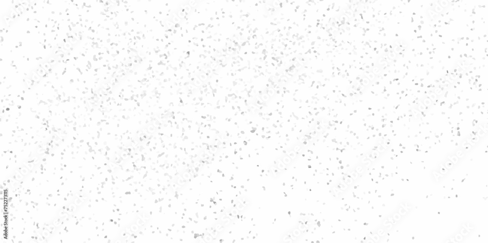 Terrazzo flooring texture polished stone pattern old pebble stones wall texture background. Silver Explosion Of Confetti. Modern with marble texture quartz surface  bathroom or kitchen countertop.