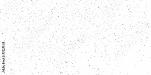 Terrazzo flooring texture polished stone pattern old pebble stones wall texture background. Silver Explosion Of Confetti. Modern with marble texture quartz surface  bathroom or kitchen countertop.