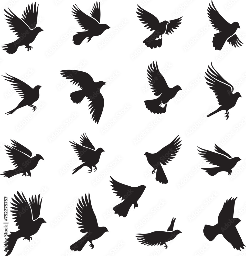 Fototapeta premium Set of black birds silhouette on white background