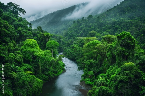 Aerial view of a river winding through a lush green forest