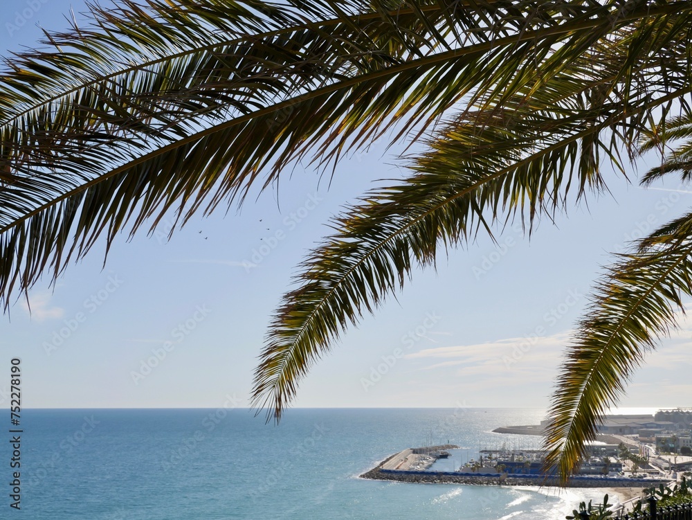 View of beach with palm trees and sea from Mediterranean Balcony (Balcó del Mediterrani), Tarragona, Mediterranean sea cost of Spain