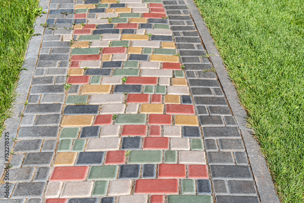 Colorful paved road across lush lawn on sunny day. Pathway with bright step stones in summer park. Creative design element of landscaping