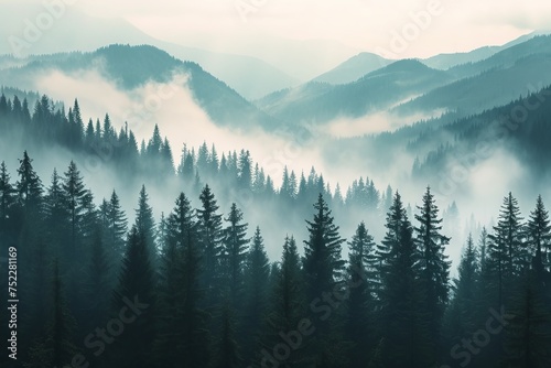 Foggy forest in the mountains