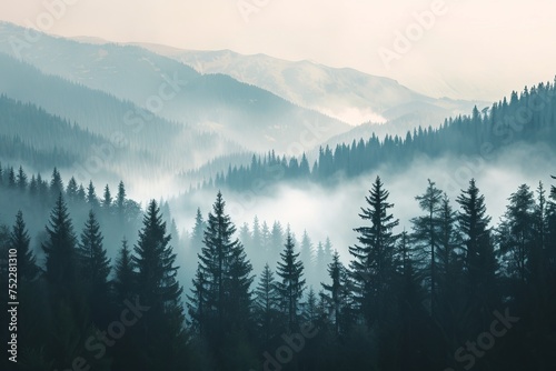 Foggy forest in the mountains © STOCKAI
