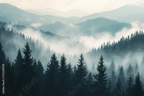 Foggy forest in the mountains © STOCKAI