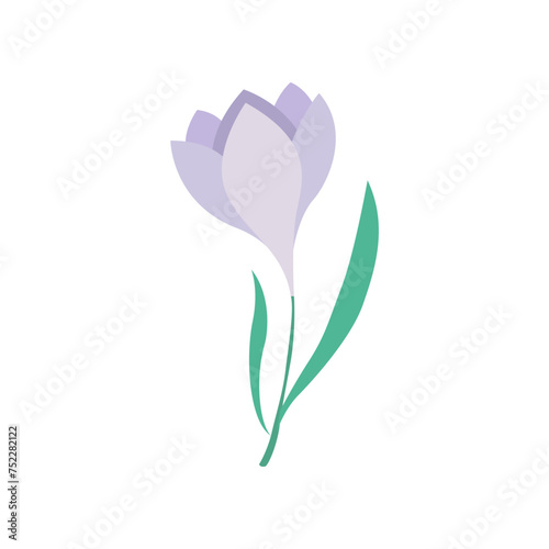 hand drawn cute spring snowdrop flower