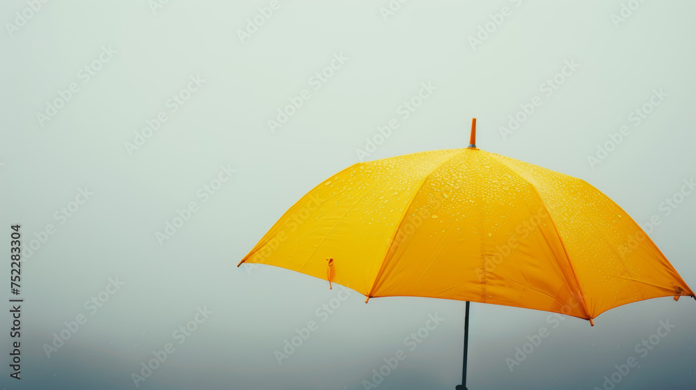 umbrella on white background