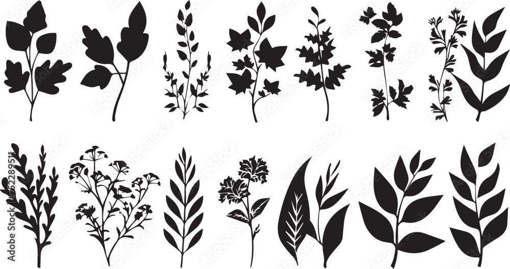 Fototapeta premium Beautiful plant with leaves silhouette on white background