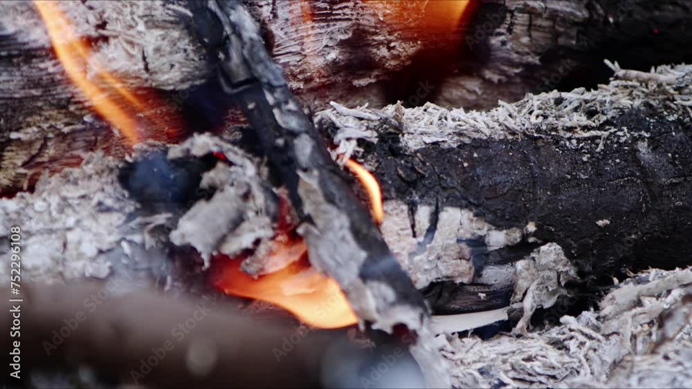 Abstract Oak Wood Bonfire in Flames Smoke and Ashes Abstract Oak Wood Bonfire in Flames Smoke and Ashes