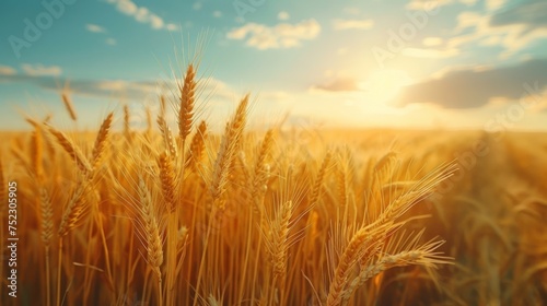 A lone windmill stands amidst the golden wheat, its blades turning lazily in the gentle breeze, evoking a feeling of tranquility and nostalgia.