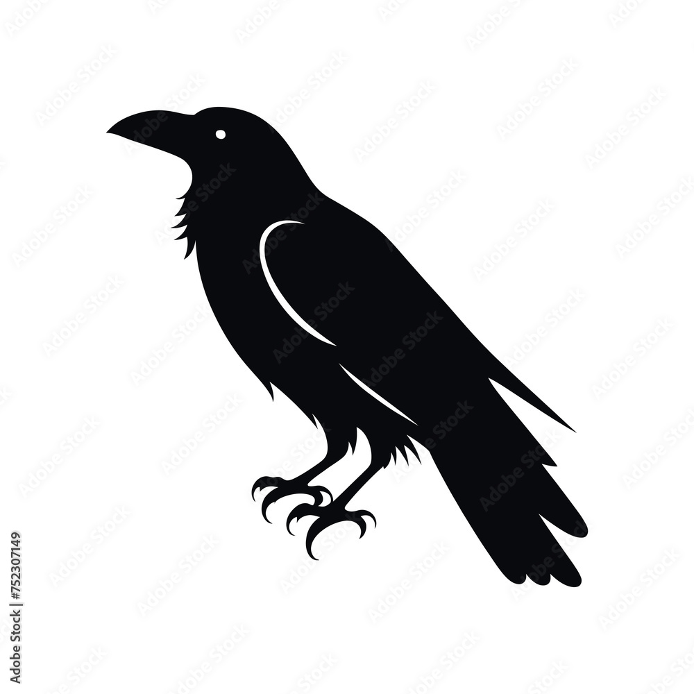 Fototapeta premium black crow with good quality and design