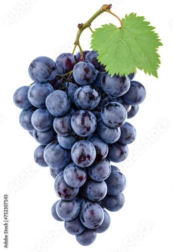 a bunch of fresh grapes