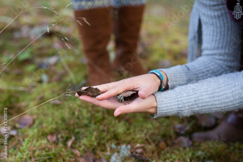 Hands holding a leaf in the forest