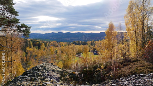 Schwedenwald