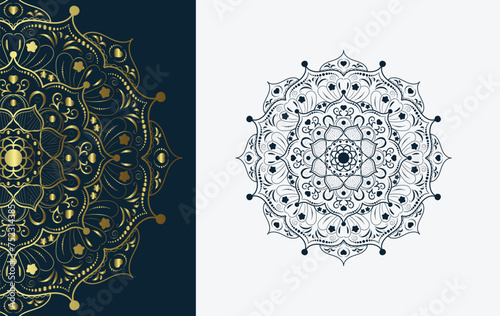 Mandala boho design vector