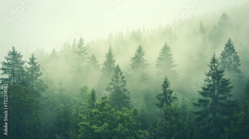 A serene fir forest shrouded in mist, with the scene rendered in a hipster vintage retro style that highlights the tranquil beauty of the landscape. The muted tones, AI Generative