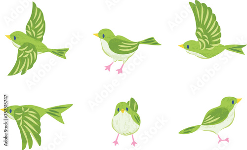 小鳥のイラストセット　緑色