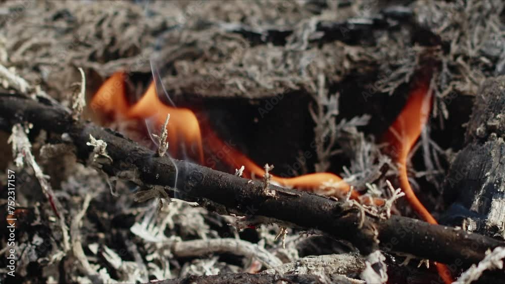 Abstract Oak Wood Bonfire in Flames Smoke and Ashes Abstract Oak Wood Bonfire in Flames Smoke and Ashes