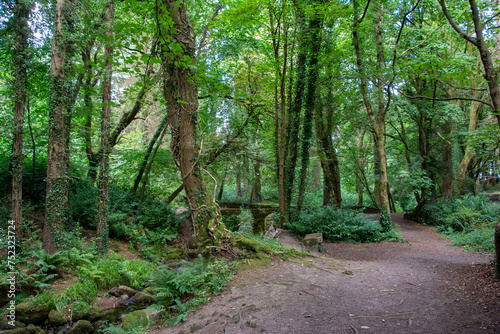 Embark on a journey through nature's canvas, where a winding walking trail in the Dublin Mountains invites wanderers to discover the hidden beauty of Massys Estate.