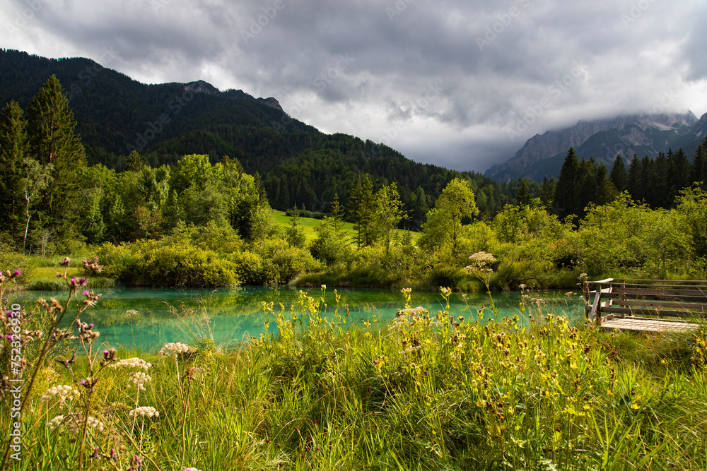 Zelenci - emerald-green lake in the mountains, in Kranjska Gora, Slovenia