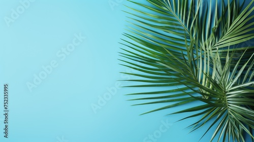 Palm tree with tropical leaves on a blue background with a place to copy text, an even layer of green tropical leaves. The concept of recreation, tourism, and sea travel. © Cherkasova Alie