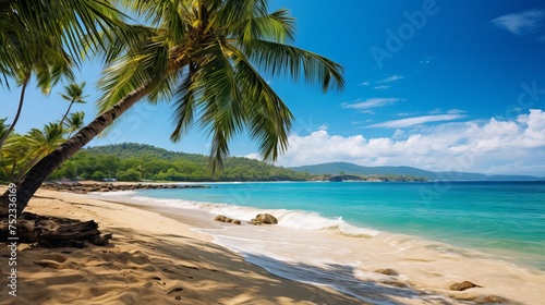 Idyllic Jamaican Beachscape: Turquoise Waters and Palm Trees, Shot with Canon RF 50mm f/1.2L USM