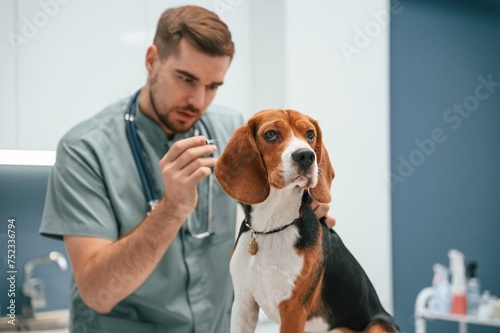 Doing syringe shot. Dog in veterinarian clinic with male doctor