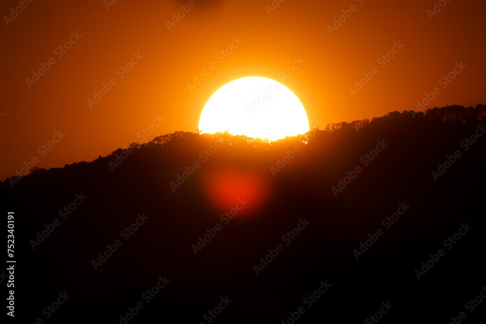 close up tree on mountain peak sunset time. close up tree on mountain peak sunset time.