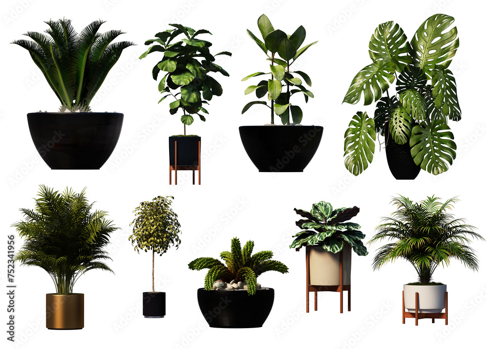 3D   render   various types of decorative plant pots