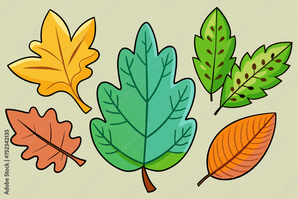 Vector leaves set: natural decor
Vector leaves set: natural decor