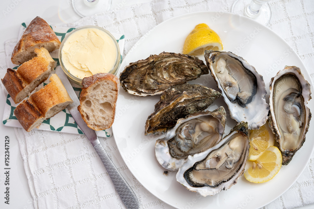 Fresh big french, dutch, pacific or japanese oysters molluscs, size number 1, served with fresh lemon, raw sea food Fresh big french, dutch, pacific or japanese oysters molluscs, size number 1, served with fresh lemon, raw sea food