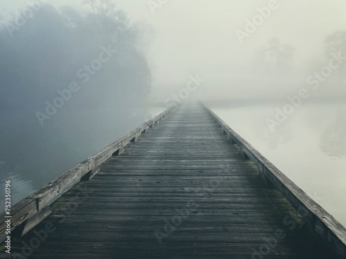 Foggy Morning 