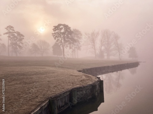 Foggy Morning 