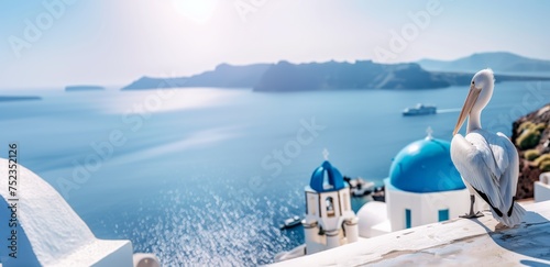 White pelican perched on ledge overlooking picturesque blue and white church amidst calm seas and sunny skies  capturing tranquil beauty of Greek coastal scenery from high angle perspective.