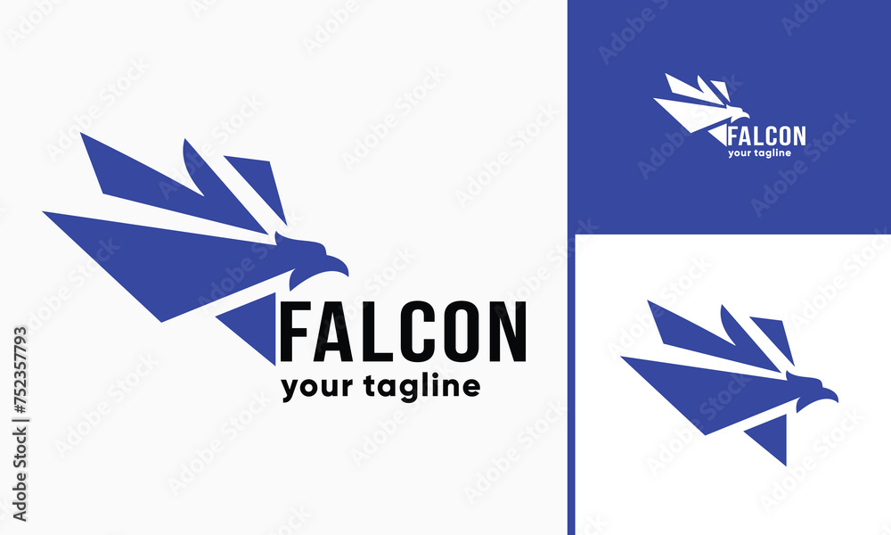 Obraz premium vector eagle with sharp wings
