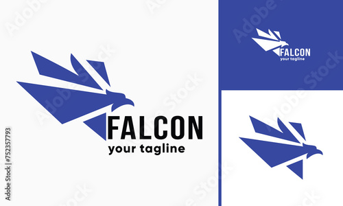 vector eagle with sharp wings