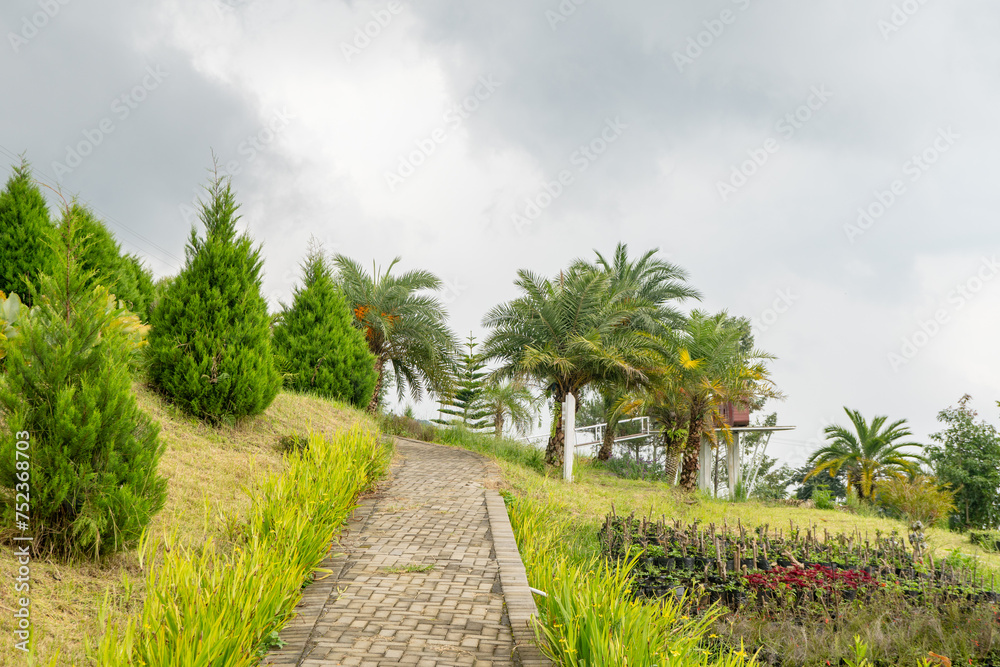 Fototapeta premium Landscape garden and mountain Bandungan Semarang Central Java.