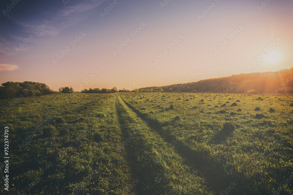 Obraz premium Sunset or sunrise in a spring field with green grass, willows and a clear sky. Springtime landscape. Vintage film aesthetic.