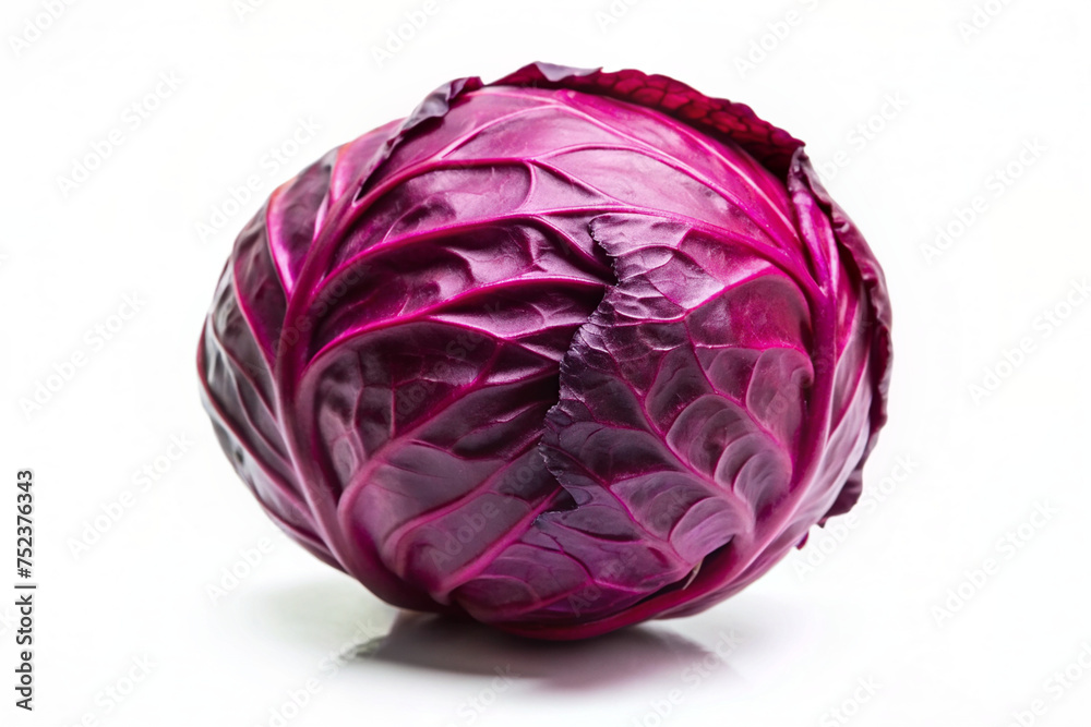 red cabbage isolated on white background red cabbage isolated on white background