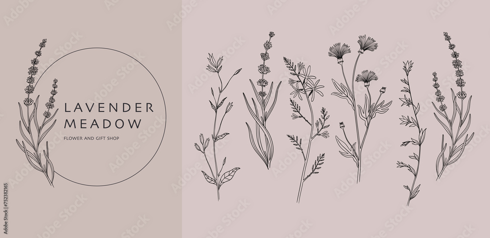 Hand drawn flowers. Minimal herb plant logo, floral branch frame or leaf icon, vintage rustic greenery. Lavender meadow botanical logotype design. Vector outline abstract rustic decoration