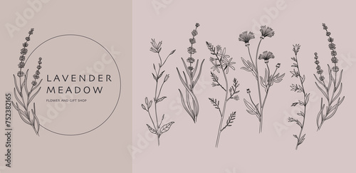 Hand drawn flowers. Minimal herb plant logo, floral branch frame or leaf icon, vintage rustic greenery. Lavender meadow botanical logotype design. Vector outline abstract rustic decoration