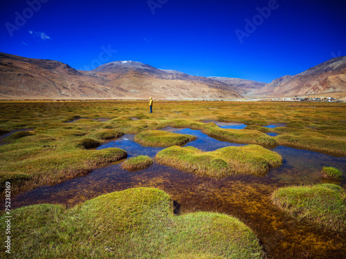Puga valley in Ladakh, India