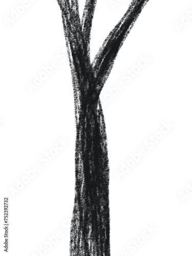Tree pencil sketch hand drawn 