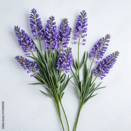bunch of lavender flower