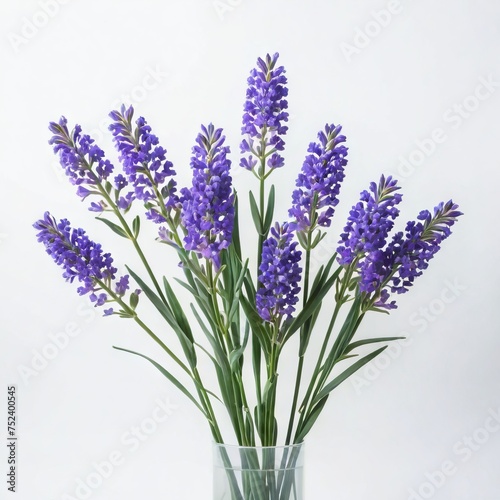 bunch of lavender flower