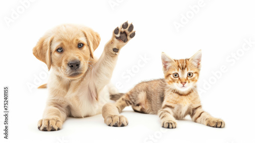 An adorable puppy and kitten look up  with the puppy raising its paw.