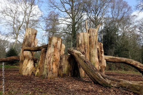 Natural woodland children's play area made with sustainably felled oak tree trunks on Chorleywood Common, Hertfordshire, England, UK