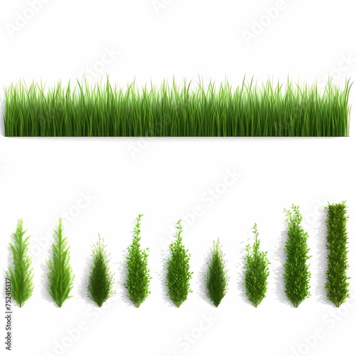 Collection of green grass borders, seamless horizontally, isolated on white background.