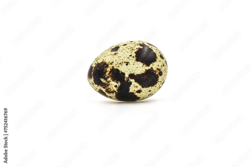 quail egg quail egg